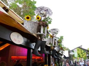 The multiple Schubkärchler's at the Weindorf!