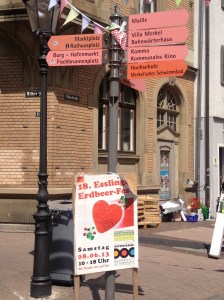Everything strawberry at the Erdbeer fest! Including a gigantic strawberry shortcake in the middle of the town for everyone to try!