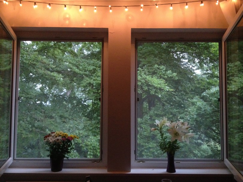 The view - with the best part! Windows that can actually be left open during the summer! I miss that in Georgia - it's wonderful to have the fresh air all of the time!