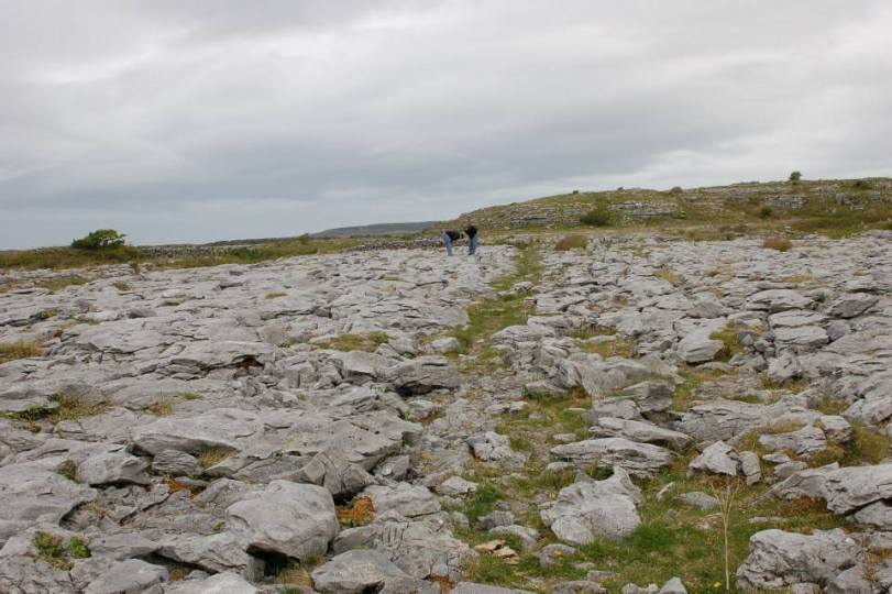 The lanscape was actually very cool - which was a pleasant surprise!