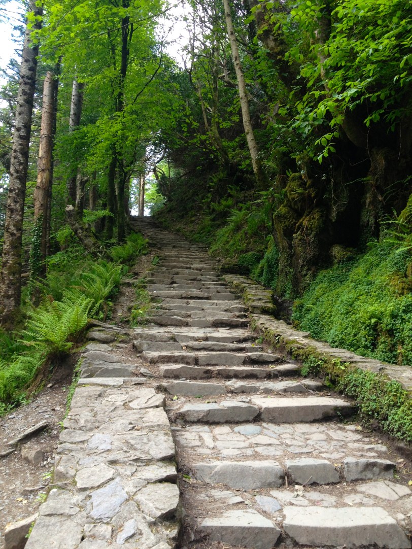 You could continue to explore the park - but nothing about climbing those stairs seemed fun!