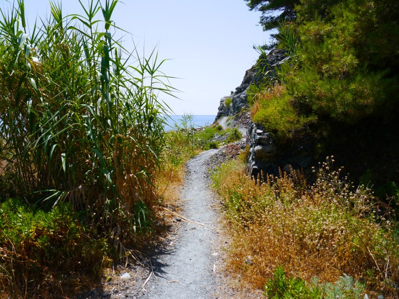 A lot of the sections of the trails looked like this, so we only did a mini-hike around Monterosso.