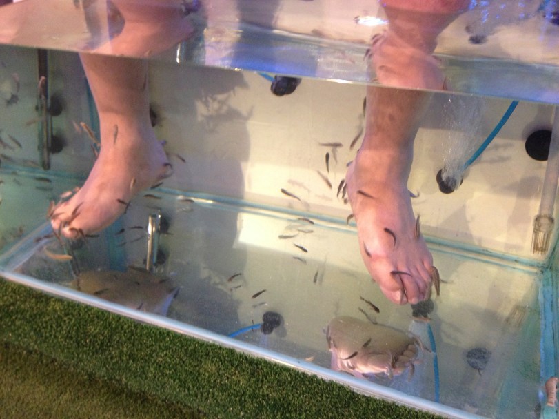 They just eat the dead skin off...I stuck my hand in to see what it was like...I could only take it about a second, but John really enjoyed it!