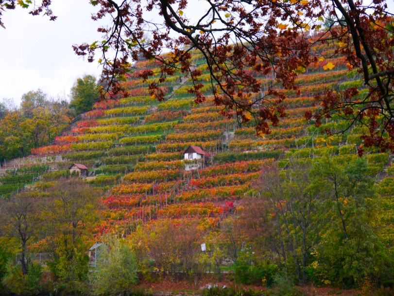 The prettiest colors ever!