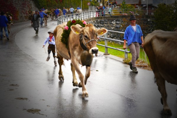 They dressed up for their return!