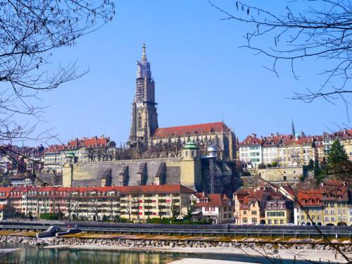 Spent a beautiful early spring day here. The biggest surprise was the actual bear park in town.