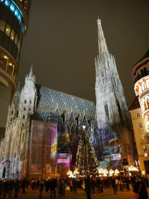 The Stephansdom in the middle of Vienna