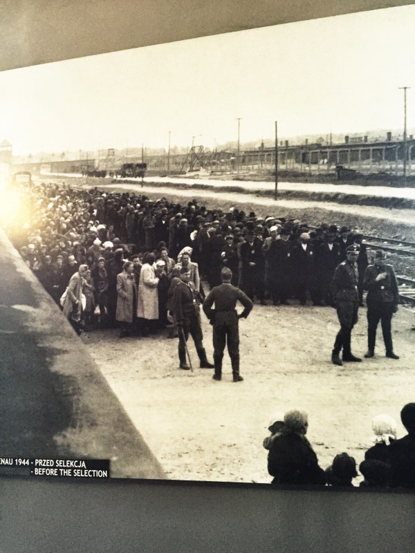 The victims lining up on the platform after leaving the cattle cars.