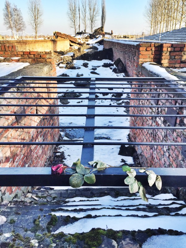 As the Soviet forces were closing in, the Nazis destroyed the gas chambers to hide the evidence than forced the prisoners on a death march. Only 7,000 were left behind.