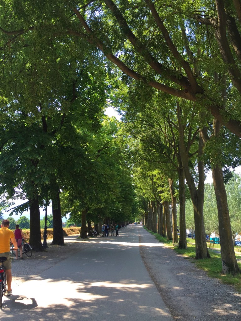 The walkway on top of the wall - a beautiful path!