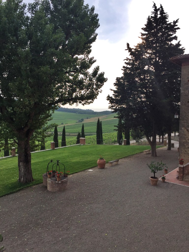 More of the front yard.