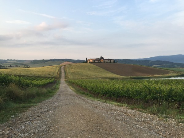 Ok..this is the last one! A view from the vineyards behind the house.