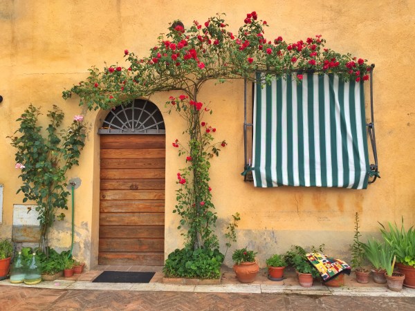 Love this little house in town!