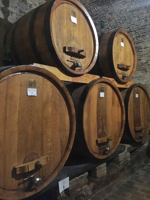 Touring the wine cellar at Cantina Contuzzi