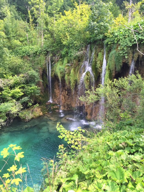 I didn't get tired of the falls at all!