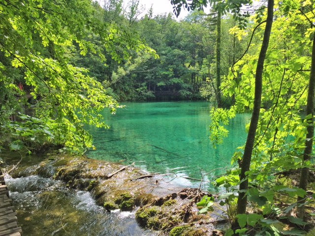 This was right off the path in the previous pictures.