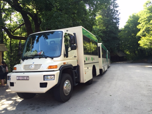 The shuttle busses...which held a lot of people so there was no waiting!