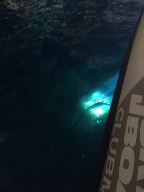 The highlight of these caves is how the sun hits the water. As seen here.