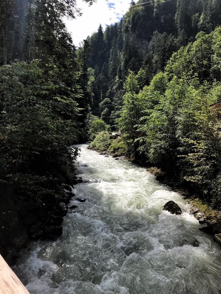 20882166_10155136977308495_7951133439096605567_n