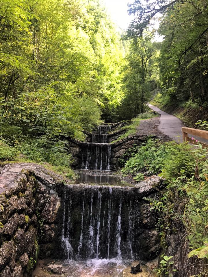 20914220_10155136977328495_3698394548848368736_n