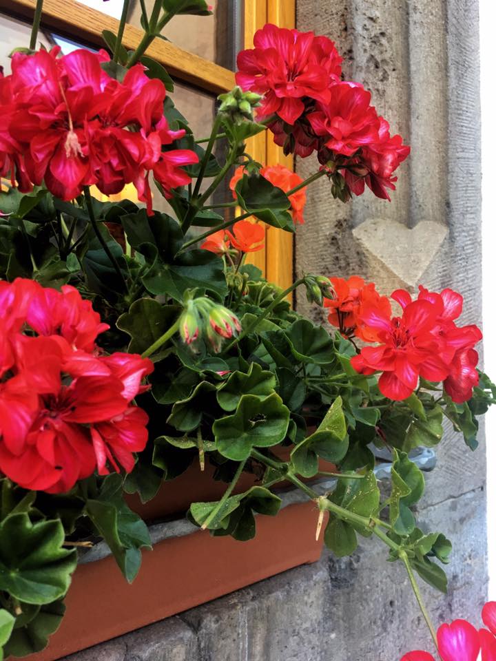 20914283_10155139657538495_7538445066933130014_n