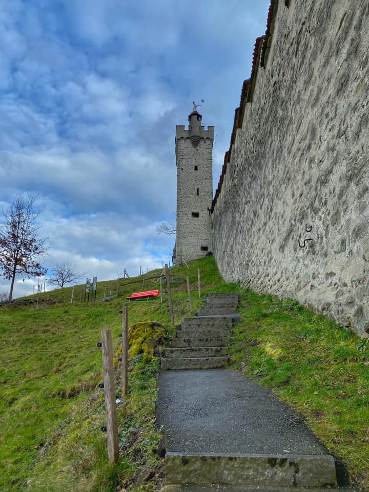 82417415_10157230313898495_1360879929838796800_n